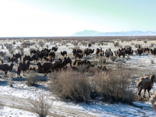 ХАВРЫН САРУУДЫН ЦАГ АГААРЫН ЕРӨНХИЙ ТӨЛӨВ